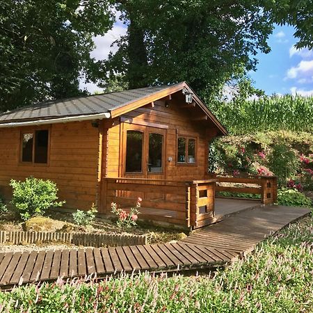 Chambres D'Hotes Les Tilleuls Poullaouen Kültér fotó